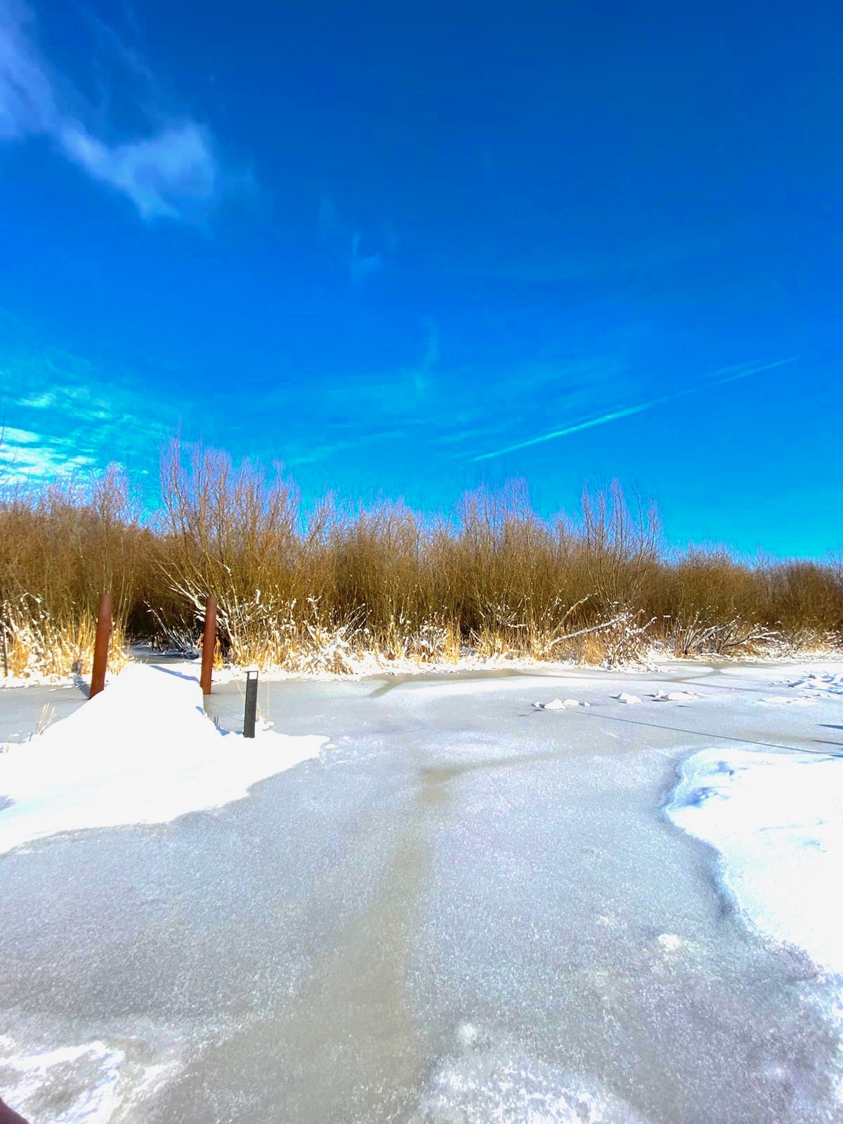 winter1